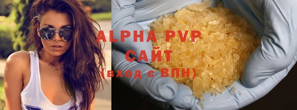 ПСИЛОЦИБИНОВЫЕ ГРИБЫ Ладушкин