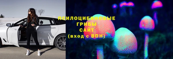 гидропоника Лагань