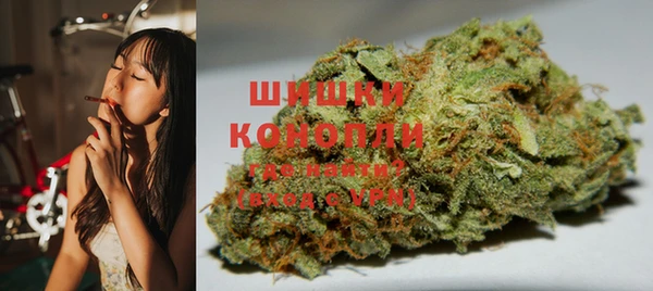 ПСИЛОЦИБИНОВЫЕ ГРИБЫ Ладушкин