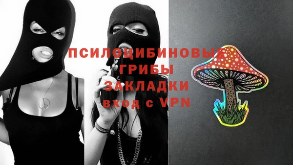гидропоника Лагань