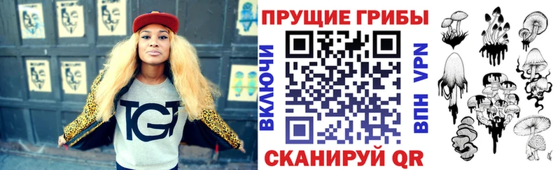 Псилоцибиновые грибы ЛСД  наркотики  ссылка на мегу маркетплейс  Цоци-Юрт 